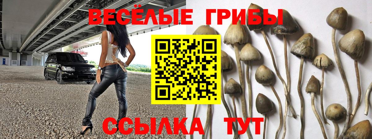 Озёры  Псилоцибиновые грибы GOLDEN TEACHER  Вход с VPN 